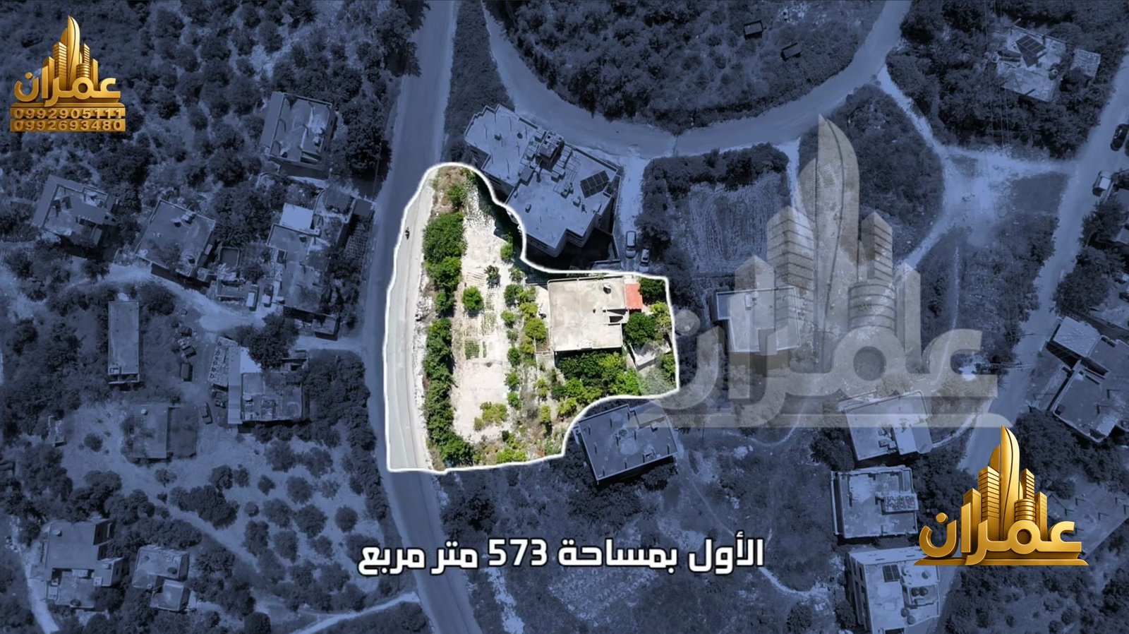 صورة 2